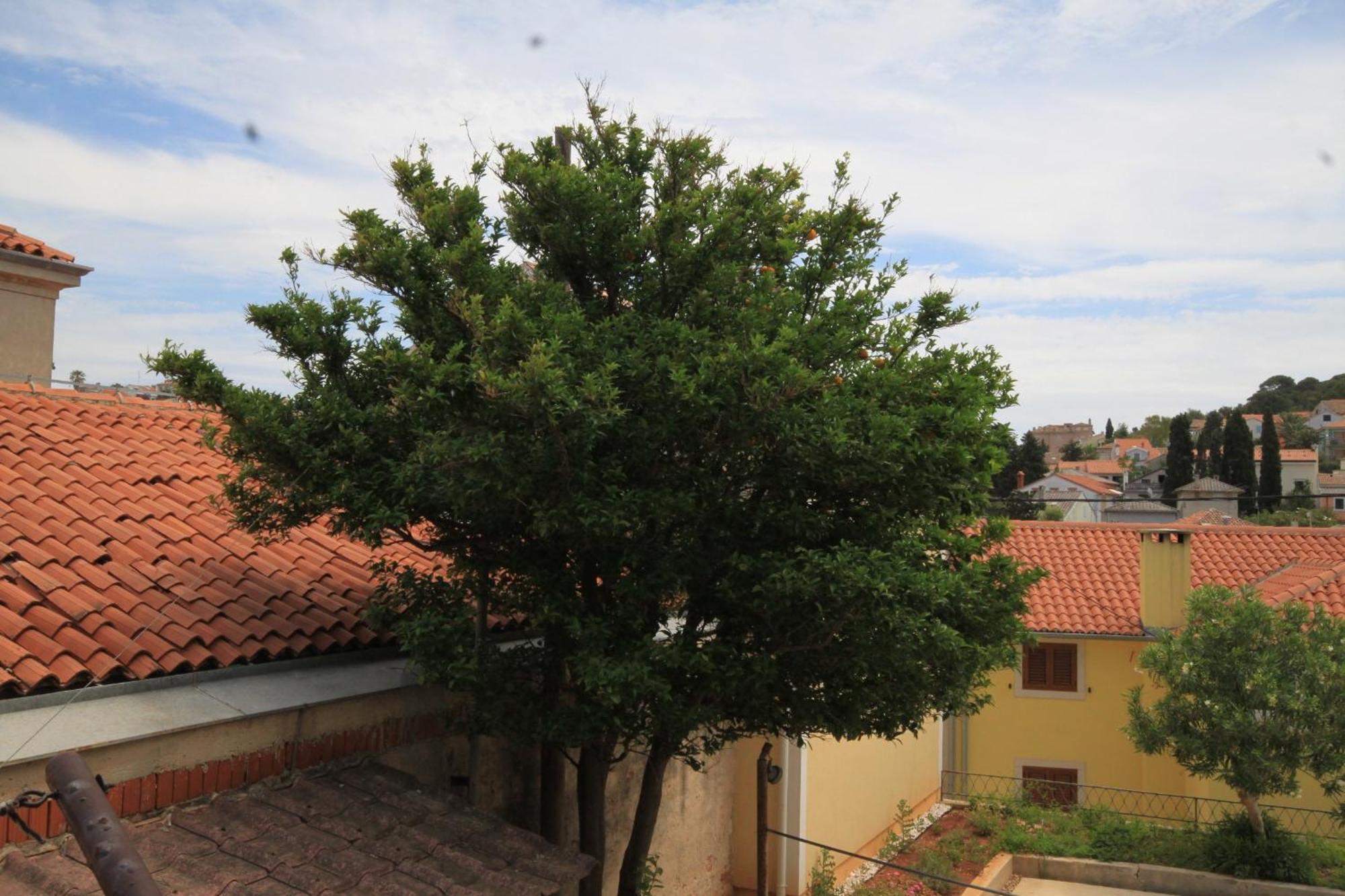 Apartments And Rooms With Parking Space Mali Lošinj Exterior foto